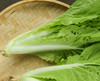 小茭菜（400g）（因是手工捉虫，虫眼较多） 商品缩略图2