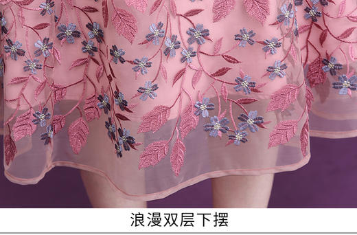 WXY-3270V领刺绣气质蕾丝法式甜美遮肉A字裙 商品图5