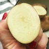 恩施小土豆 商品缩略图3
