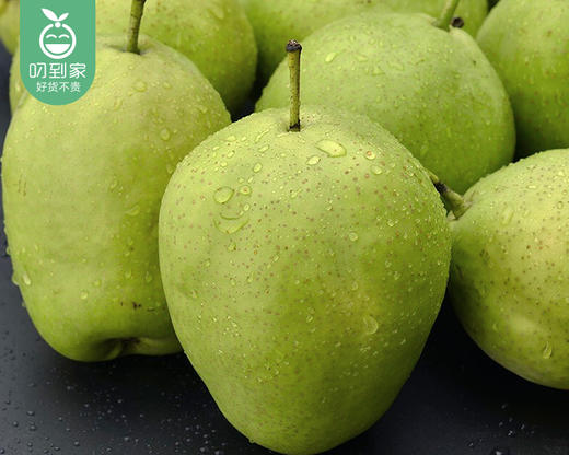 甘肃绿香妃梨1份约5斤