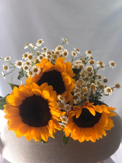 向日葵5支洋甘菊1扎
