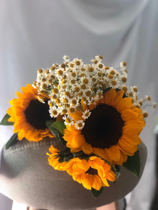 向日葵5支洋甘菊1扎