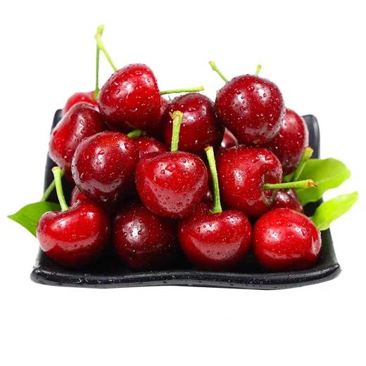 新鲜大连樱桃 商品图1