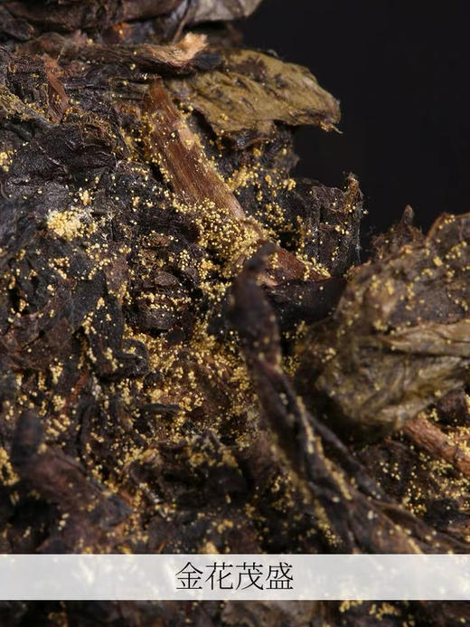 安化黑茶｜白沙溪·大师庄园（茯茶，荒山原叶清香手筑金花茯砖）318g 商品图2