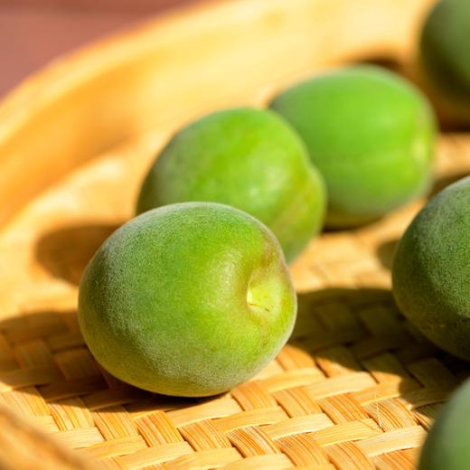 云南高山青梅顺丰包邮新鲜现摘果肉饱满果香浓郁核小多汁4种规格任选