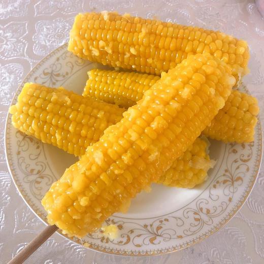 东北甜糯黄玉米18根/箱 真空礼盒装 商品图1