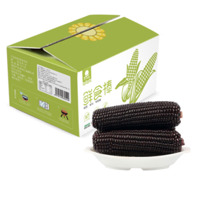 东北黑糯玉米棒10支新鲜非转基因紫黏代餐真空甜粘嫩即食玉米苞米