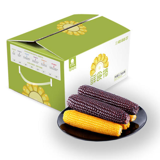 组合装10根东北糯玉米粘玉米棒非转基因真空包装新鲜即食黑黄玉米 商品图3