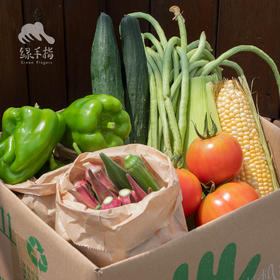生态丰产蔬菜箱【团购】（节瓜/茄子/青瓜/水瓜/豇豆） | 绿家自产* Eco-vegetable Box | Self-production