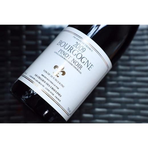 法国-乌苏拉修女酒庄“勃艮第”干红葡萄酒（2009） 商品图3