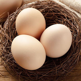 买一赠一【高福农场 土鸡蛋】30枚/盒，北京油鸡土鸡蛋，72小时慢产蛋