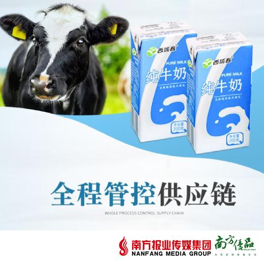 【珠三角包邮】西域春纯牛奶 200g*20盒/ 箱（6月11日到货） 商品图0