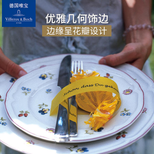 【VilleroyBoch 德国唯宝】进口碗盘欧式盘子菜盘家用个性清新红小花园（散瓷） 商品图0