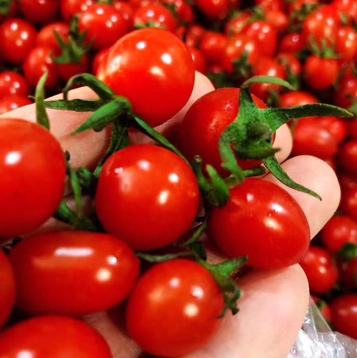 【蜂糖千禧果】 商品图2