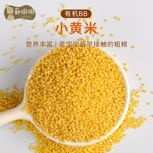 蘇嫲嫲 有机BB小黄米 宝宝粥米胚芽米婴儿主粮月子粥小米粥杂粮500g 6月+ 商品图1