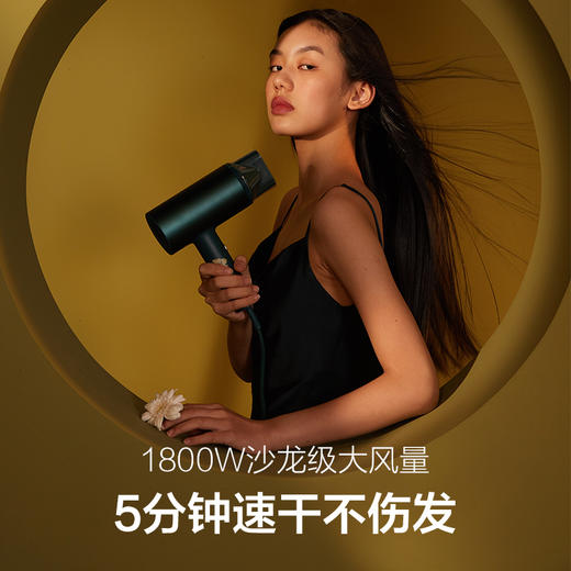 素士X梵高联名电吹风  H3S 梵高版 商品图3