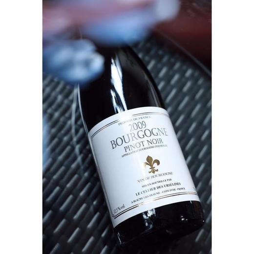 法国-乌苏拉修女酒庄“勃艮第”干红葡萄酒（2009） 商品图1