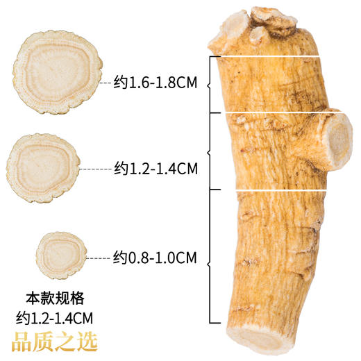 养瑞和丨西洋参切片·大片·100g·足年老参·参味浓郁·可煲汤可泡水 商品图5