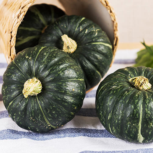 贝贝小南瓜  商品图2