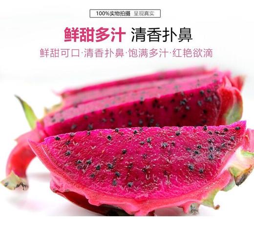 【顺丰包邮】【海南生态树熟火龙果】现采摘海南金都1号红火龙果1树上熟基地直邮 商品图0