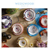 WEDGWOOD玮致活漫游美境杯碟组骨瓷咖啡杯欧式小奢华咖啡杯碟套装 商品缩略图3