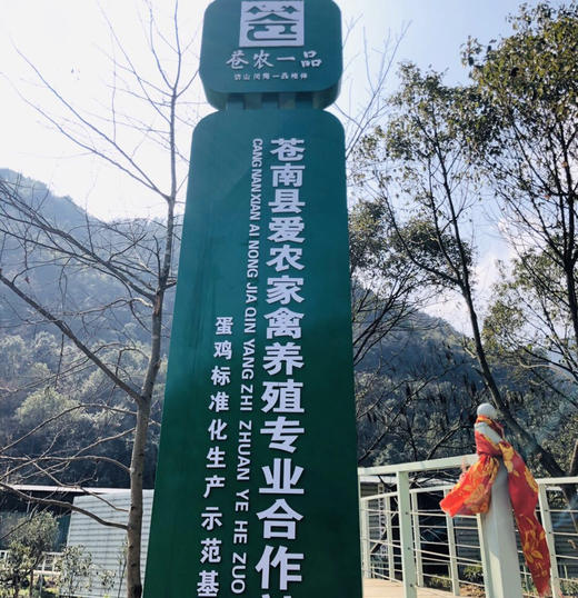 每日鲜鸡蛋一篮20个蛋/约2斤左右，下单第二天新鲜到货 商品图6