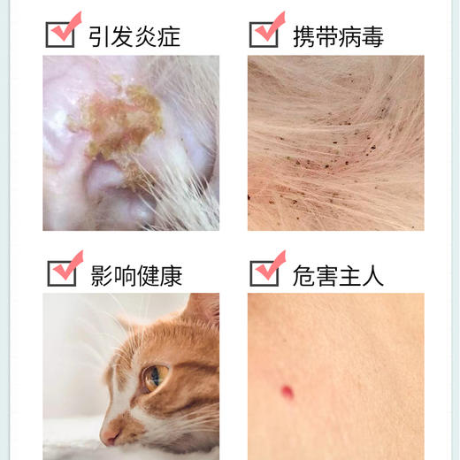 丽客宠物项圈可水洗猫咪项圈带调节扣狗狗颈圈宠物饰品结实耐用猫项圈【植物精油项圈】 商品图3