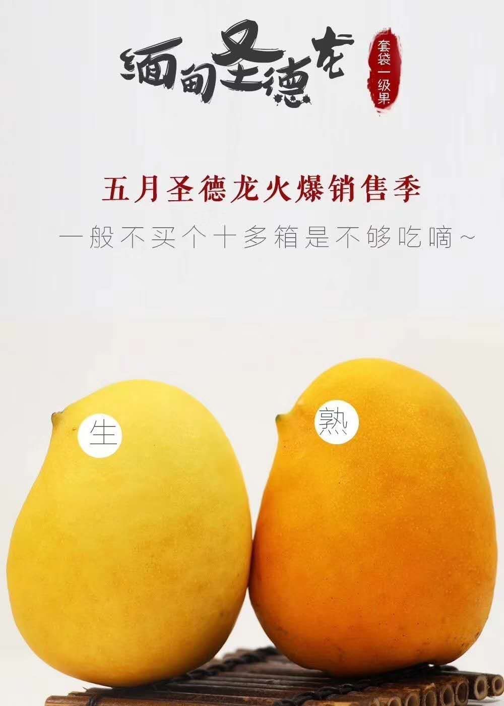 缅甸圣德龙芒果宝宝果5斤装1518颗左右