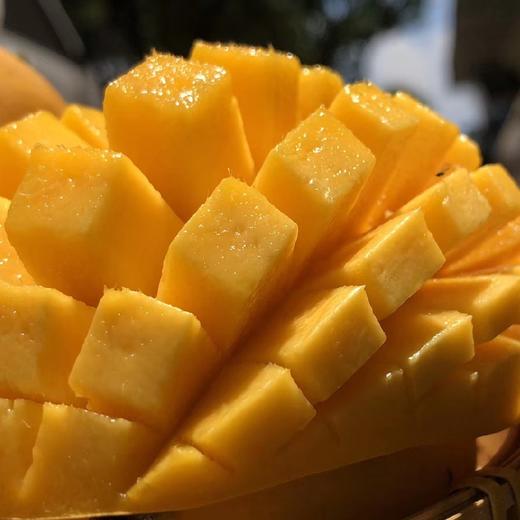 缅甸圣德龙芒果5斤装