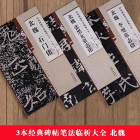 3本经典碑帖笔法临析大全 北魏 石门铭 张黑女墓志铭 李壁墓志铭