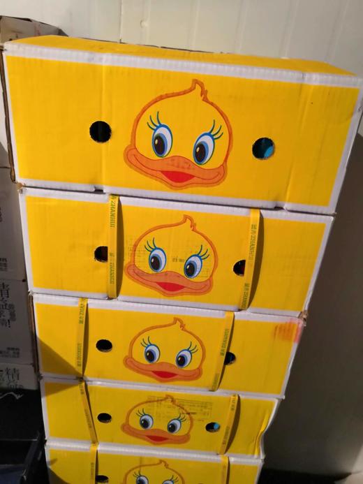 小黄鸭  椰青 单枚 商品图2