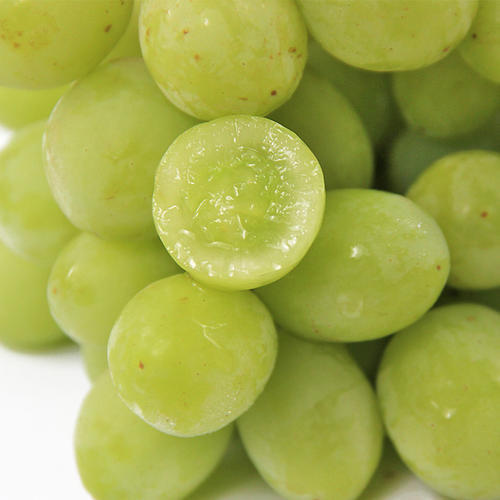 澳洲棉花糖青提 商品图2