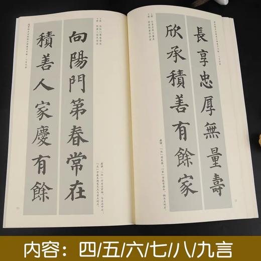 《颜真卿多宝塔感应碑》集字古文 / 集字对联 商品图5