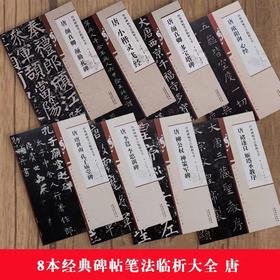 8本经典碑帖笔法临析大全 唐 孔子庙堂碑 勤礼碑 灵飞经 多宝塔碑 欧阳询心经