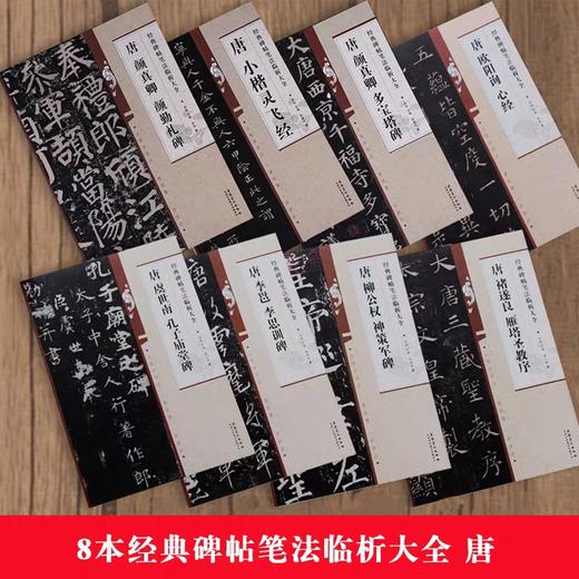 8本经典碑帖笔法临析大全 唐 孔子庙堂碑 勤礼碑 灵飞经 多宝塔碑 欧阳询心经 商品图0