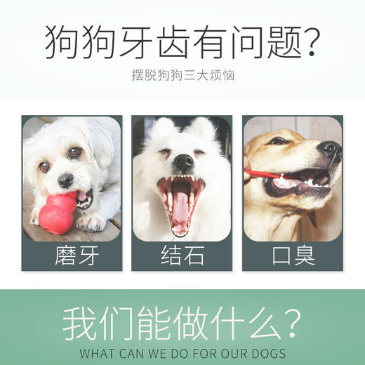 亚禾磨牙棒25g单支装 鸡肉/牛肉味 洁齿骨 狗狗零食 除口臭 商品图9