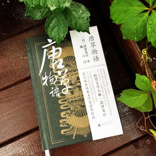 唐草物语 第九届泉镜花文学奖获奖作品 商品图2