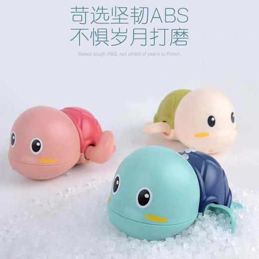 ★游水小乌龟3个装 商品图2