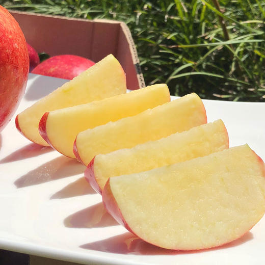 新西兰爱妃苹果|  超级红宝石，光滑红亮亮的，新果子就是清脆甜，浓浓的玫瑰香苹果香焦糖味儿~ 商品图2