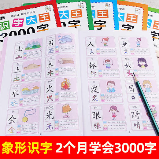 全套6本學前識字大王3000字幼小銜接一日一練幼兒園大班中班小班1年級