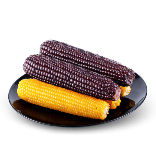 组合装10根东北糯玉米粘玉米棒非转基因真空包装新鲜即食黑黄玉米 商品图2