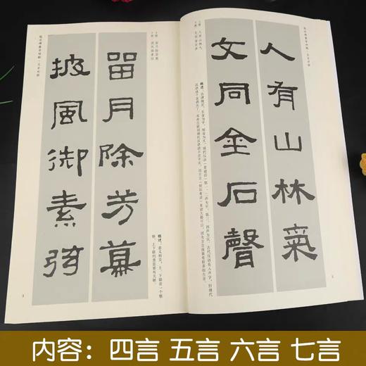 《张迁碑》集字古文 / 集字对联 商品图1