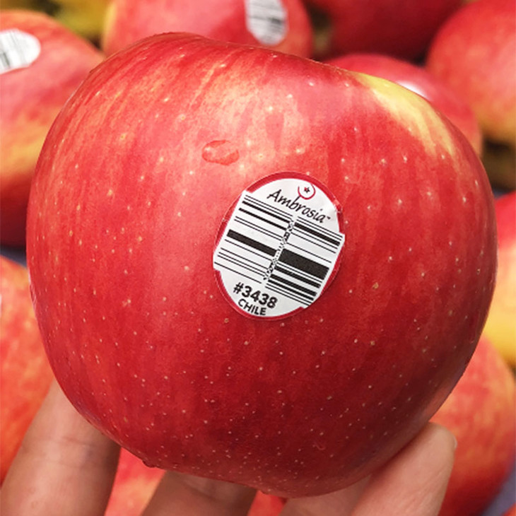 智利安伯路西亚苹果神仙果稀有珍贵品种红颜粉嫩清脆甜蜜