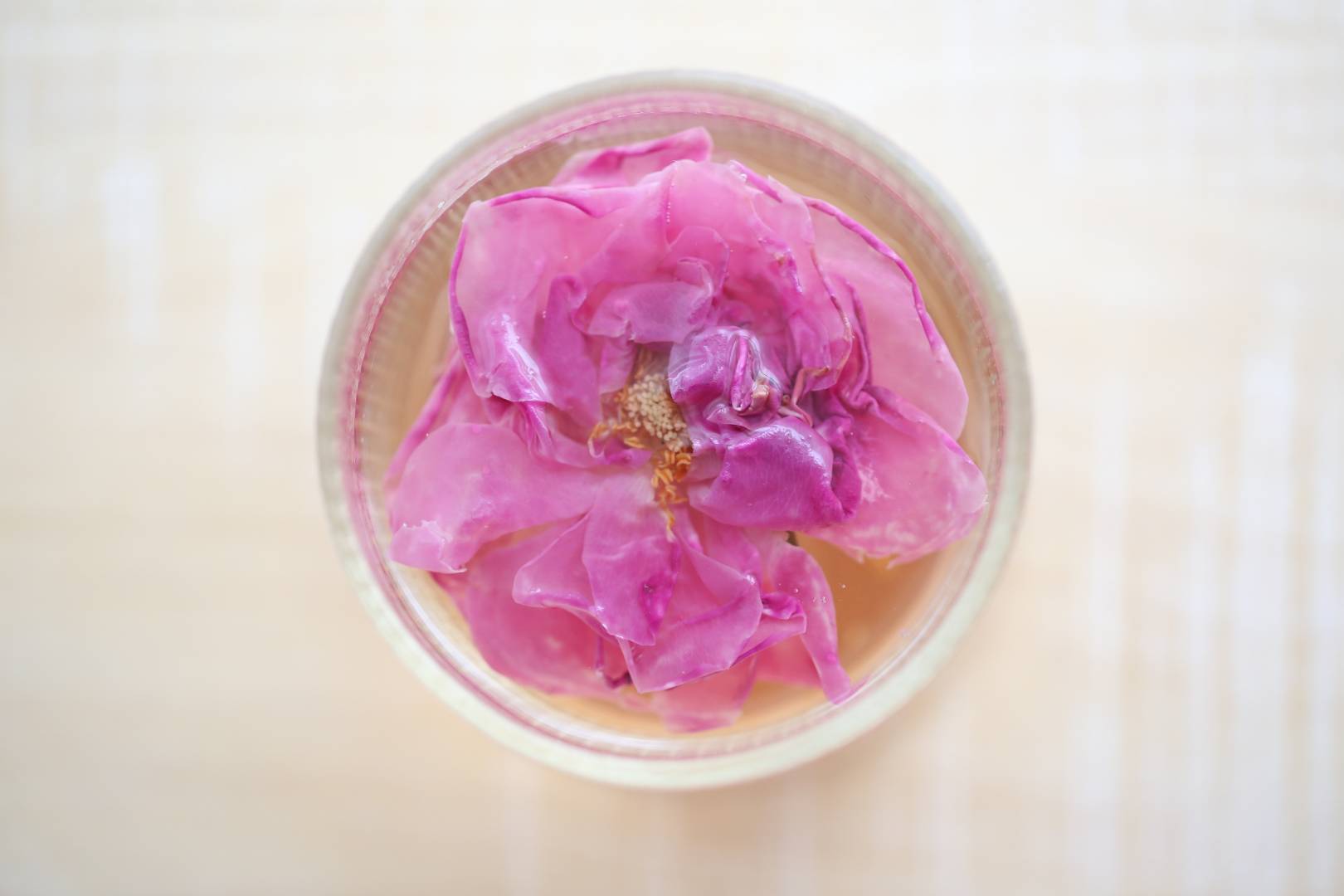 猫太推荐----一朵会在水中漫舞的玫瑰花 （一罐35朵）