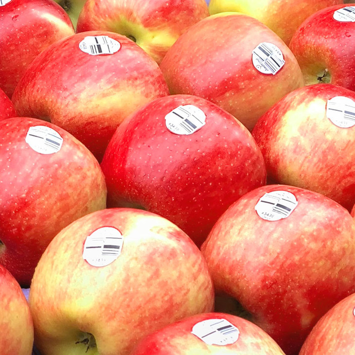 智利安伯路西亚苹果神仙果稀有珍贵品种红颜粉嫩清脆甜蜜