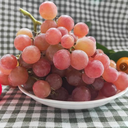 新疆玻璃脆葡萄 | 新鲜营养 脆甜多汁(12.8元/斤)