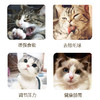 猫薄荷粉罐装 50ml猫零食逗猫去毛球猫草排毛球（一件代发，省内包邮） 商品缩略图3
