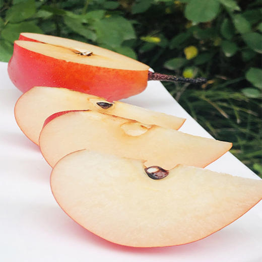 新西兰piqaboo红啤梨  | 很美很仙,飘着桃香,非常细致爽脆,蜜汁汪汪,甜到心窝了! 商品图4