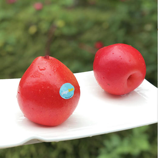 新西兰piqaboo红啤梨  | 很美很仙,飘着桃香,非常细致爽脆,蜜汁汪汪,甜到心窝了! 商品图2