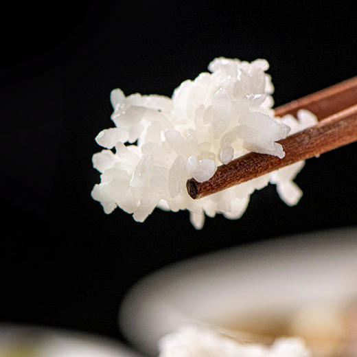【买一送一】袁蒙海水稻大米，在盐碱地种的米，飘满稻花香 商品图3